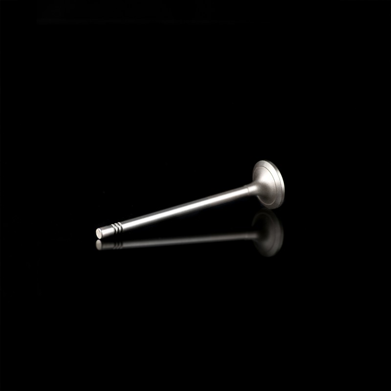 Выпускной клапан LN100-1003103B