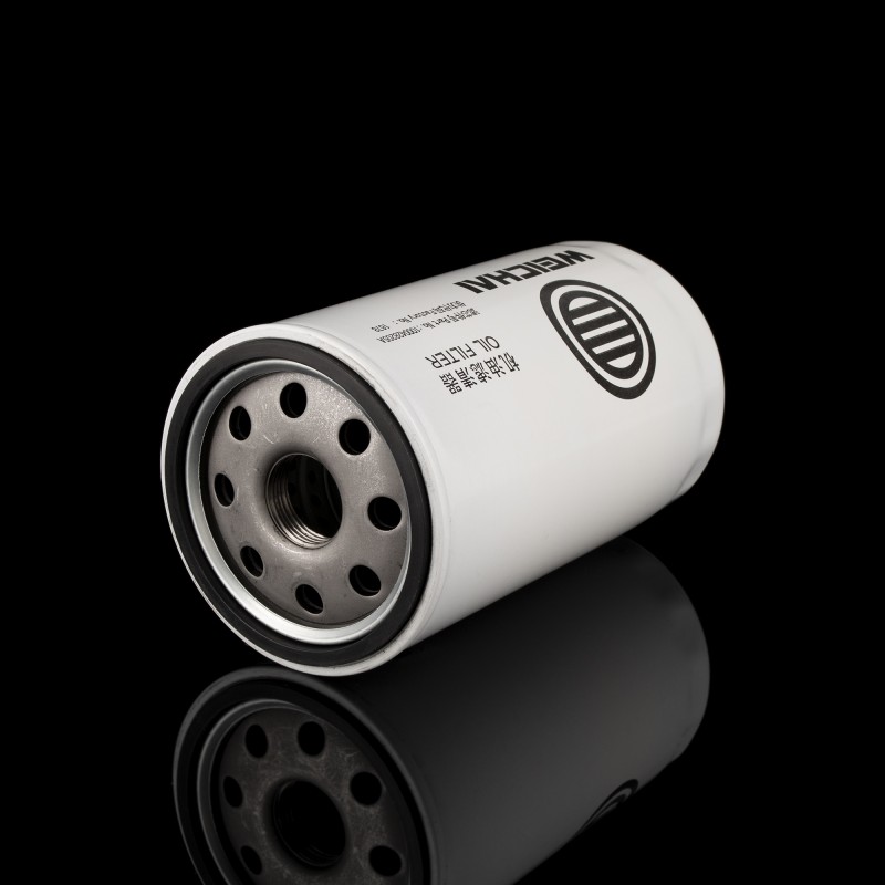 Фильтр масляный 1000428205